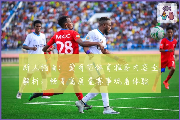 新人指南：爱奇艺体育推荐内容全解析，畅享高质量赛事观看体验
