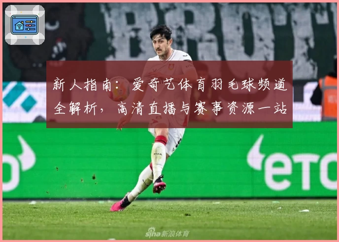 新人指南：爱奇艺体育羽毛球频道全解析，高清直播与赛事资源一站尽享