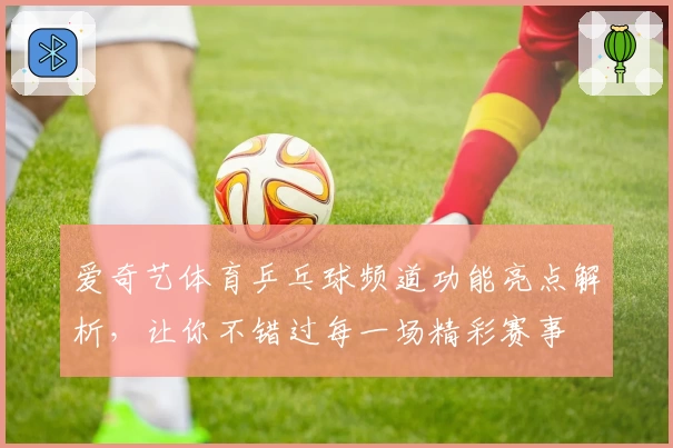 爱奇艺体育乒乓球频道功能亮点解析，让你不错过每一场精彩赛事