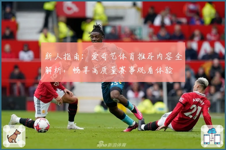 新人指南：爱奇艺体育推荐内容全解析，畅享高质量赛事观看体验